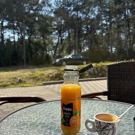 Casa de hóspedes Martin