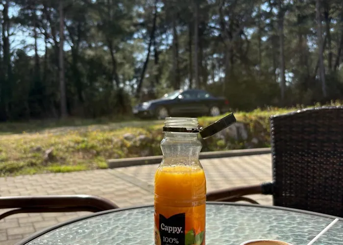 Casa de hóspedes Martin